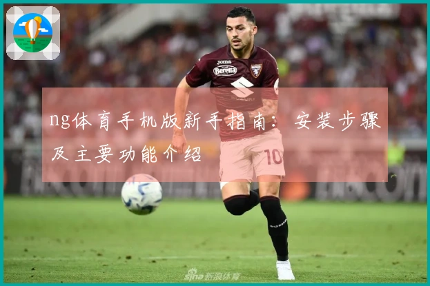 ng体育手机版新手指南:安装步骤及主要功能介绍