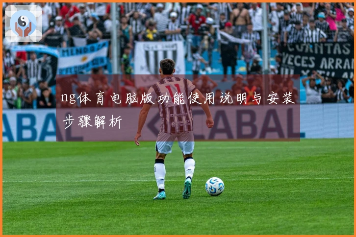 ng体育电脑版功能使用说明与安装步骤解析