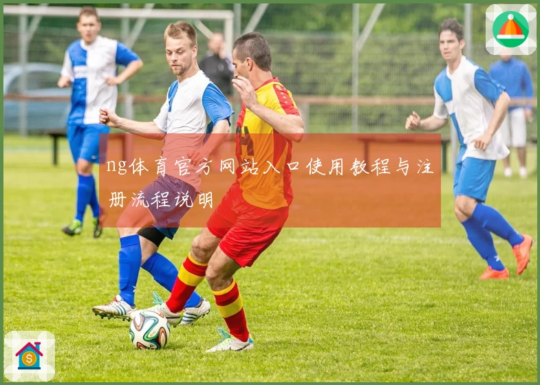 ng体育官方网站入口使用教程与注册流程说明