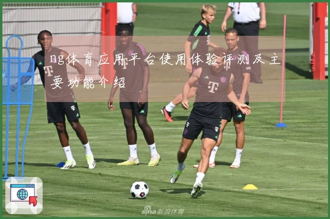 ng体育应用平台使用体验评测及主要功能介绍