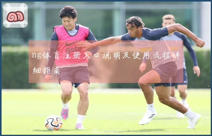 ng体育注册入口说明及使用流程详细指南