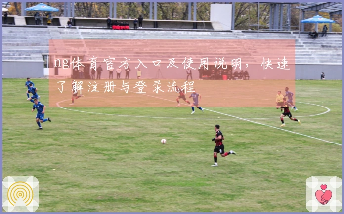 ng体育官方入口及使用说明，快速了解注册与登录流程