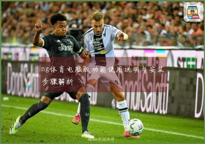 ng体育电脑版功能使用说明与安装步骤解析